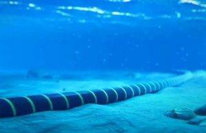 cable de fibra óptica submarino